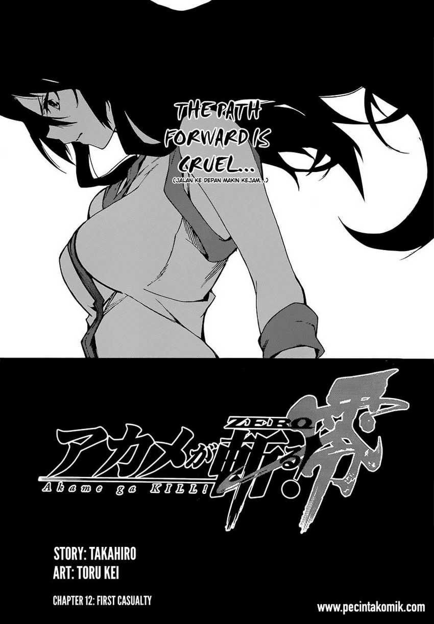 akame-ga-kill-zero - Chapter: 12