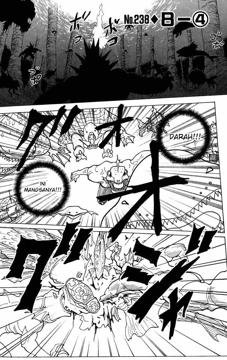 hunter-x-hunter - Chapter: 238