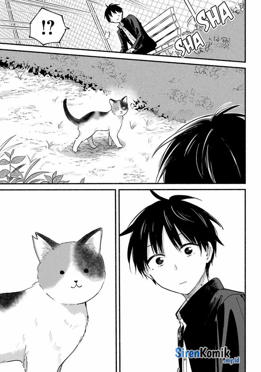 tonari-no-neko-to-koi-shirazu - Chapter: 14