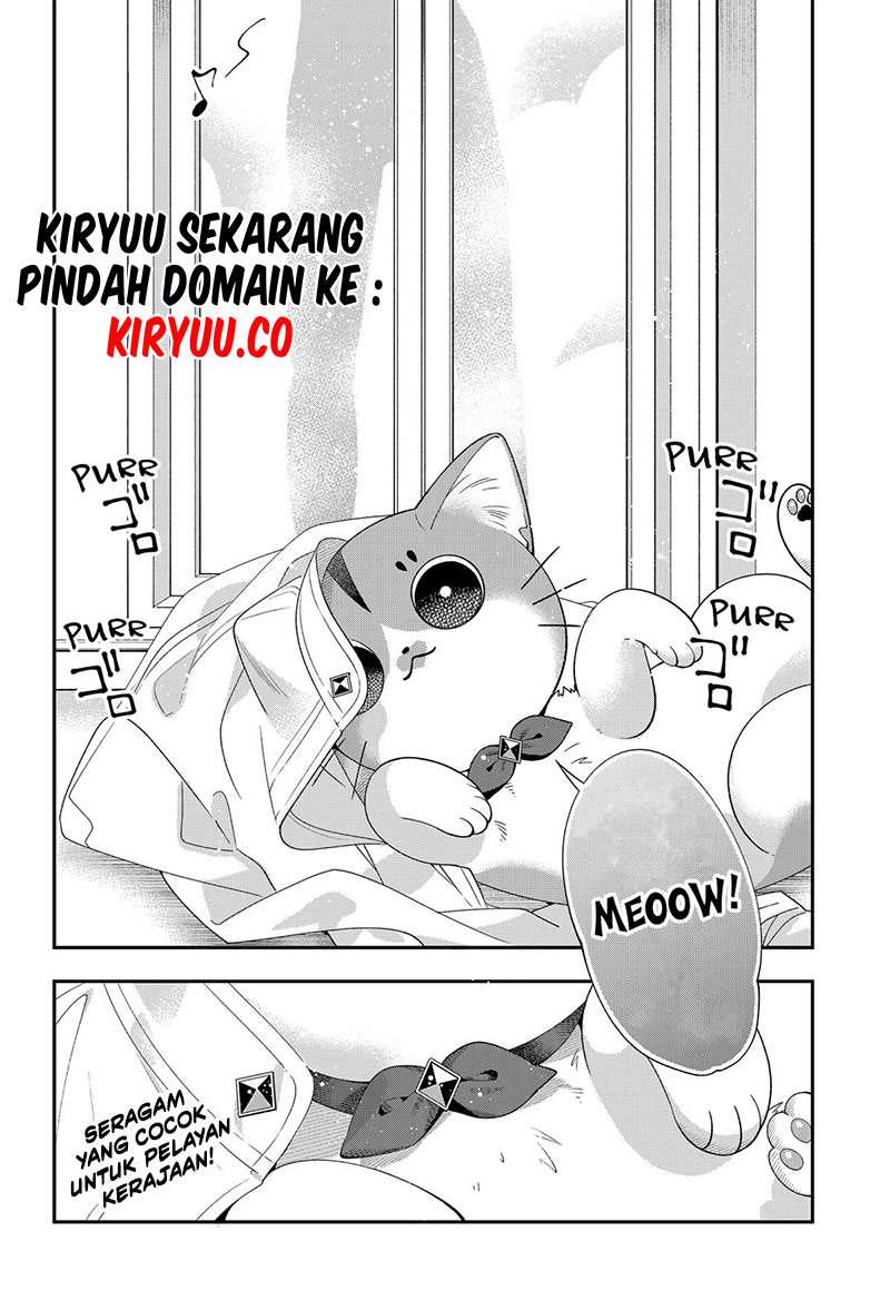 miyaou-tarou-ga-neko-wo-kau-nante - Chapter: 6