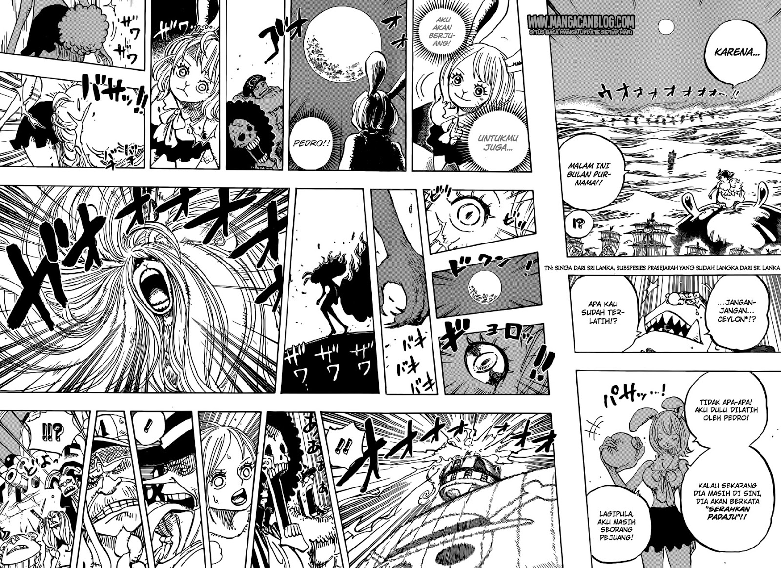 one-piece-id - Chapter: 888