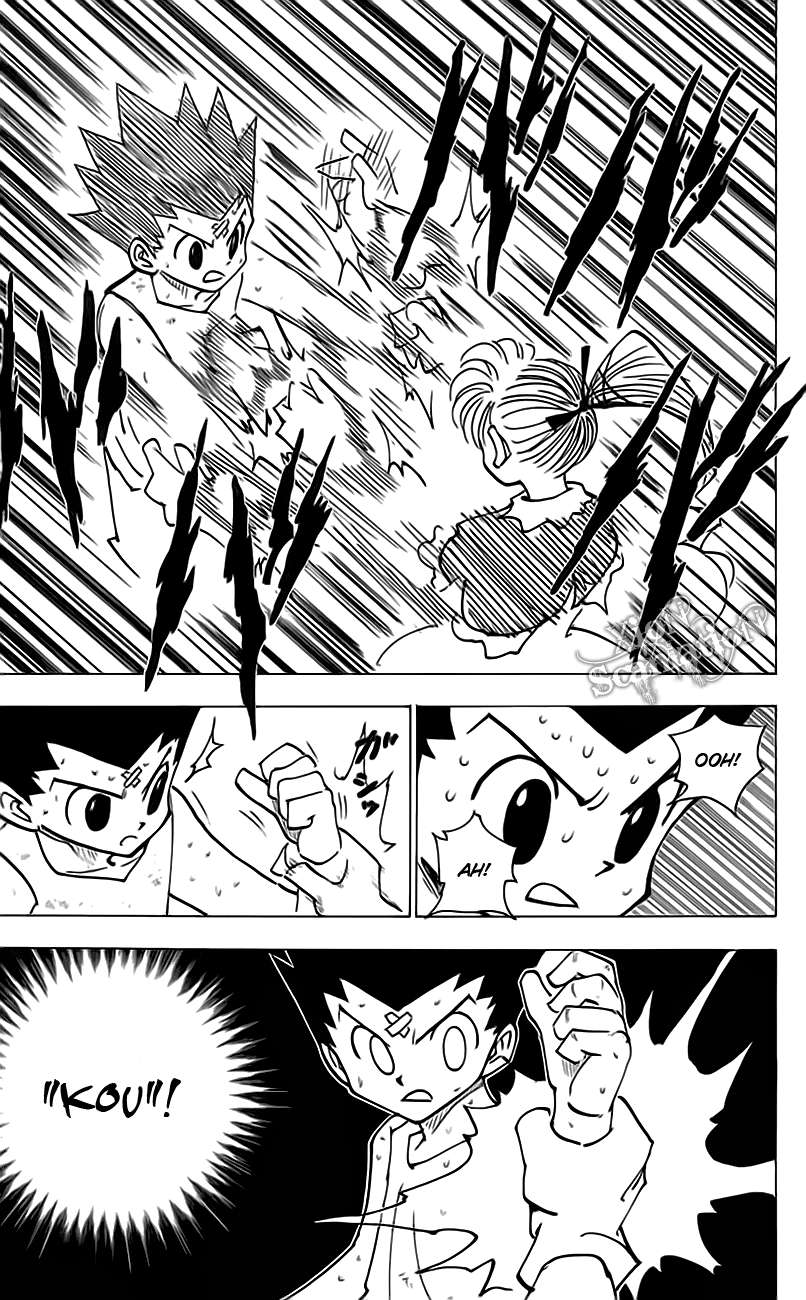 hunter-x-hunter - Chapter: 171
