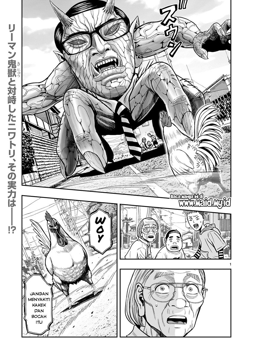 rooster-fighter - Chapter: 2