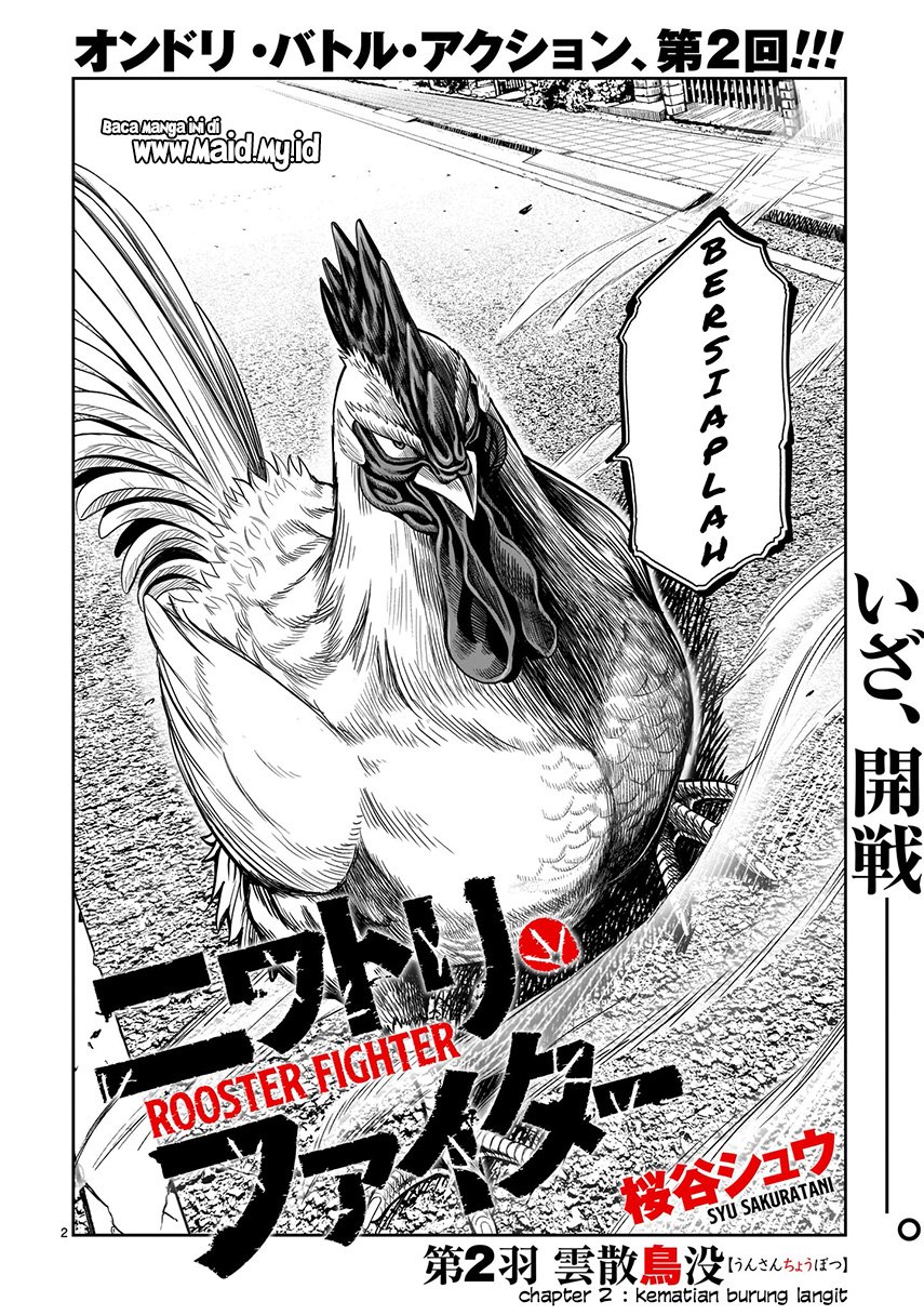 rooster-fighter - Chapter: 2