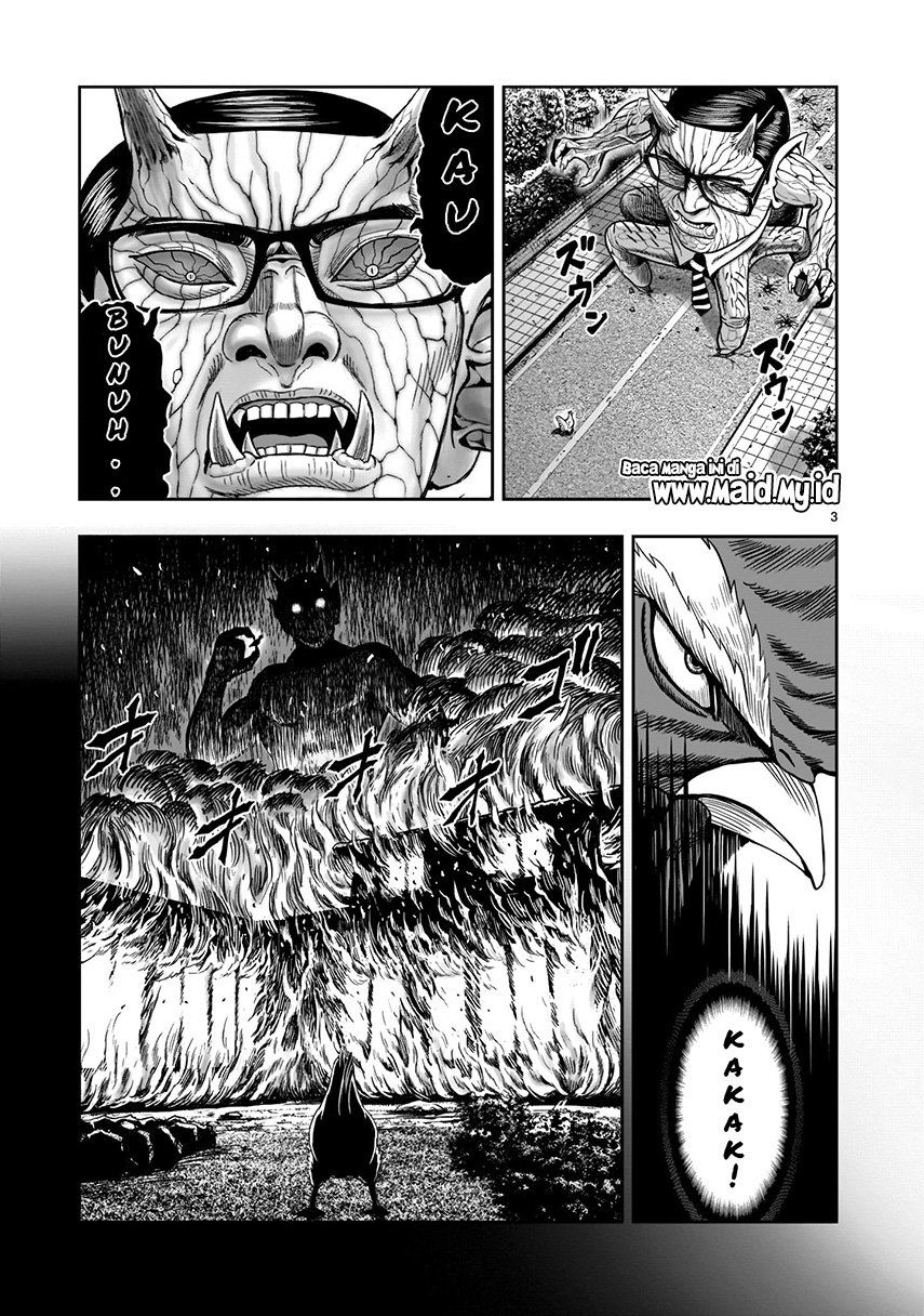 rooster-fighter - Chapter: 2