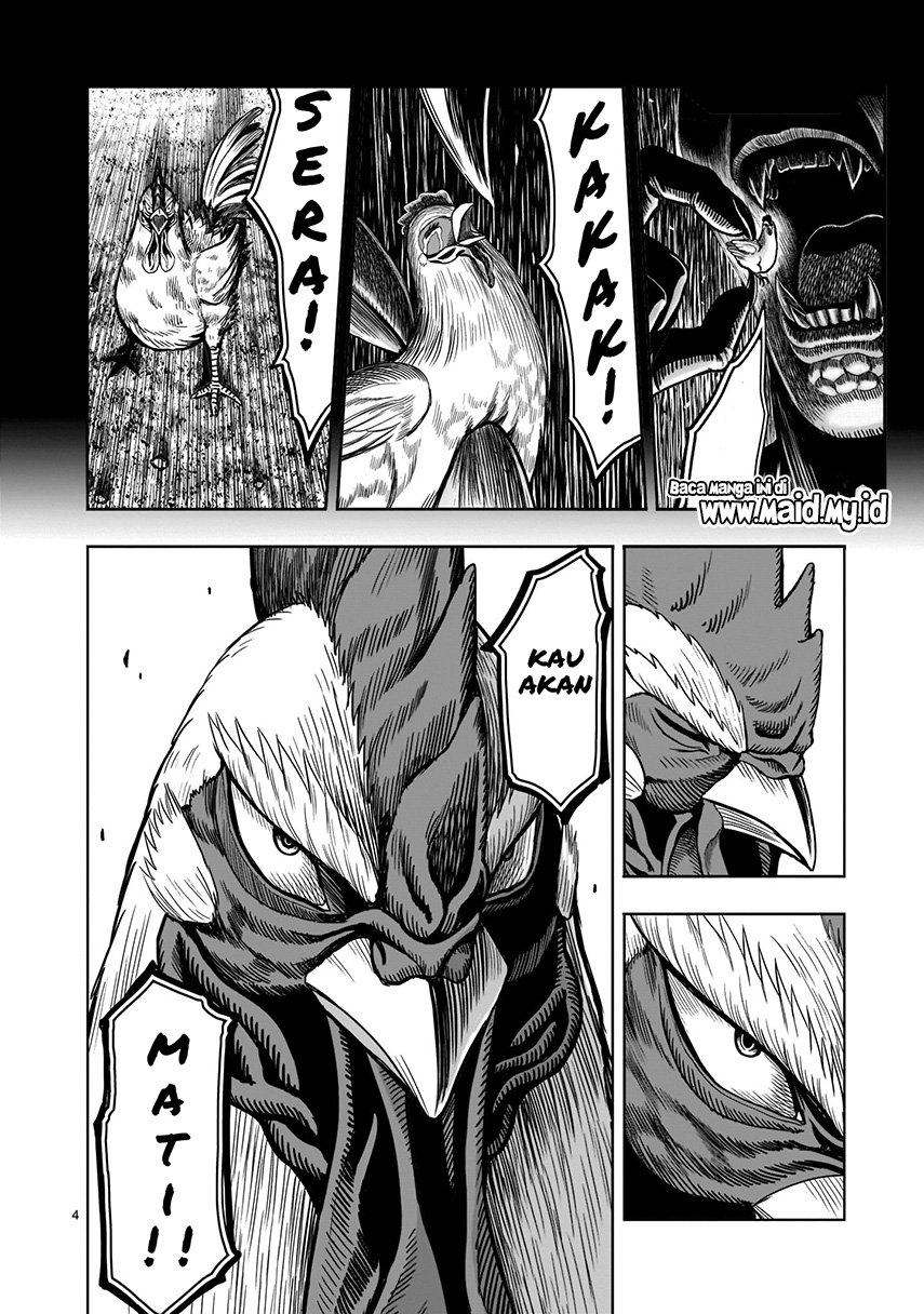 rooster-fighter - Chapter: 2