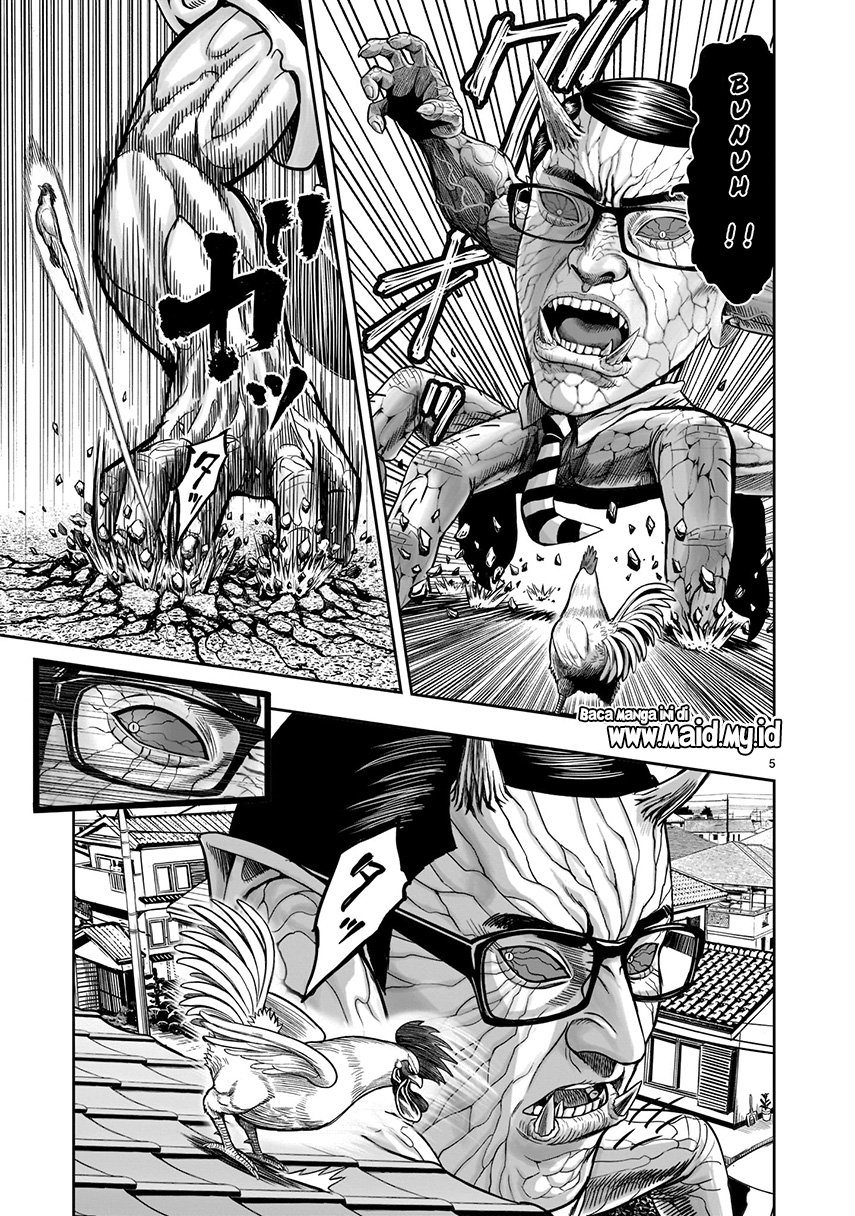 rooster-fighter - Chapter: 2