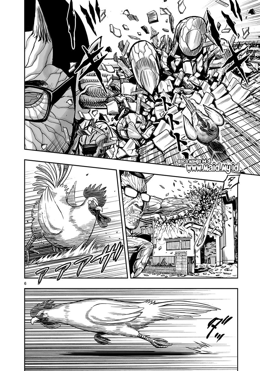 rooster-fighter - Chapter: 2