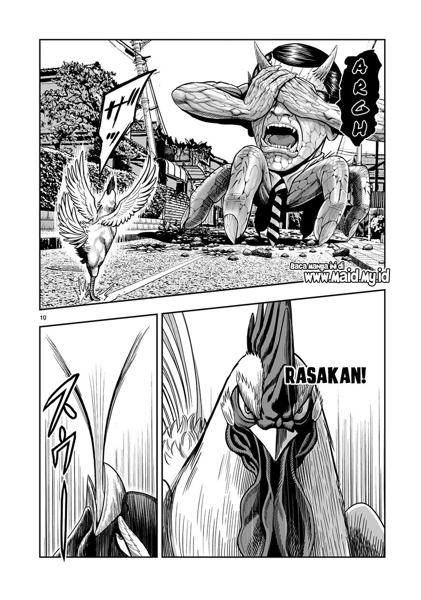 rooster-fighter - Chapter: 2