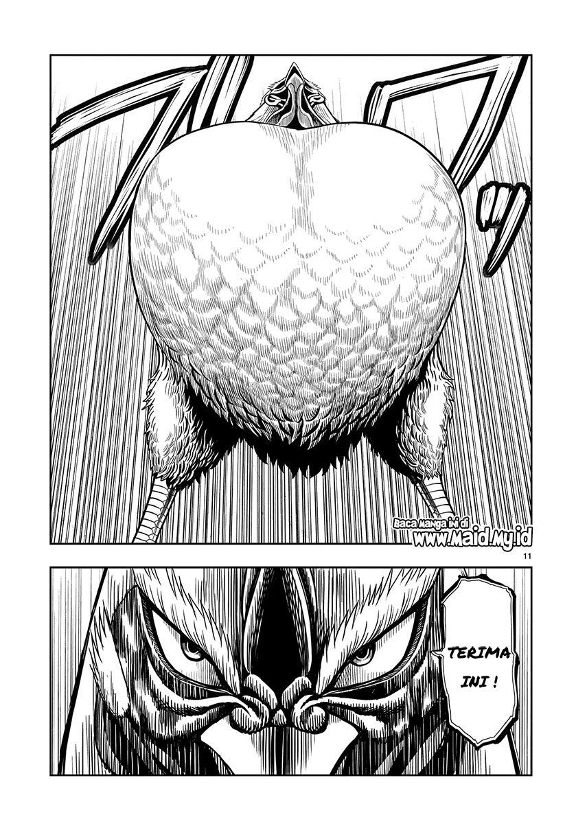 rooster-fighter - Chapter: 2