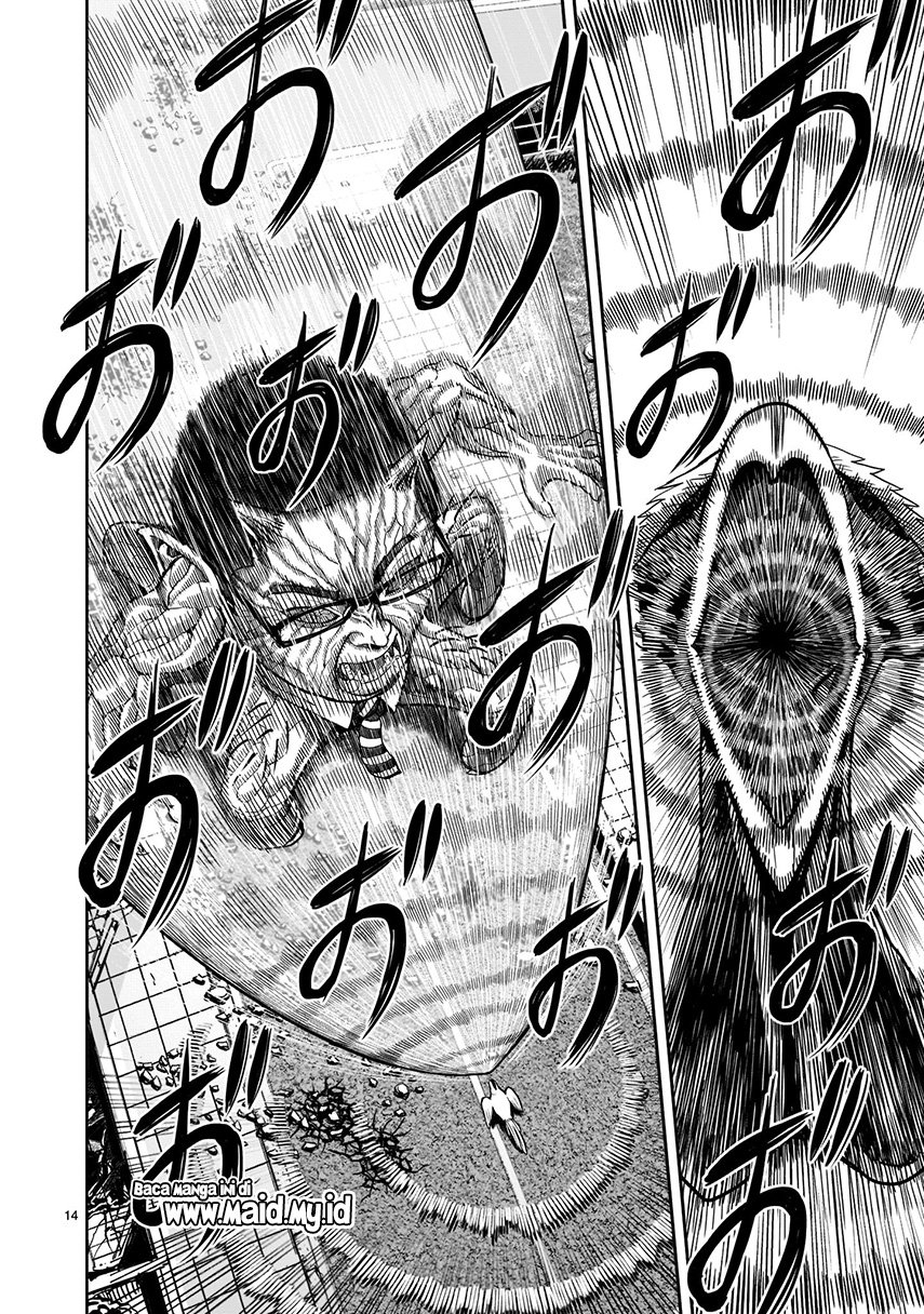 rooster-fighter - Chapter: 2