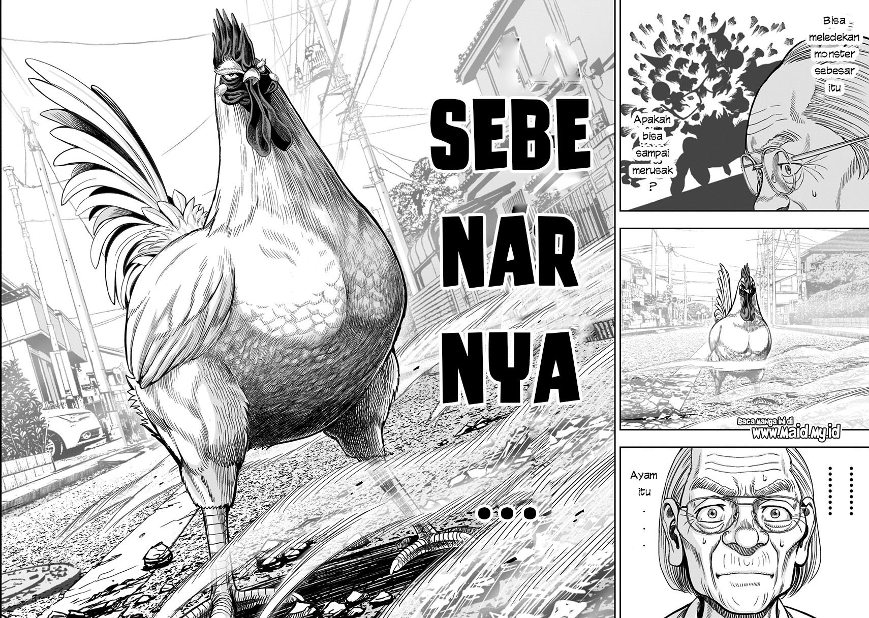 rooster-fighter - Chapter: 2
