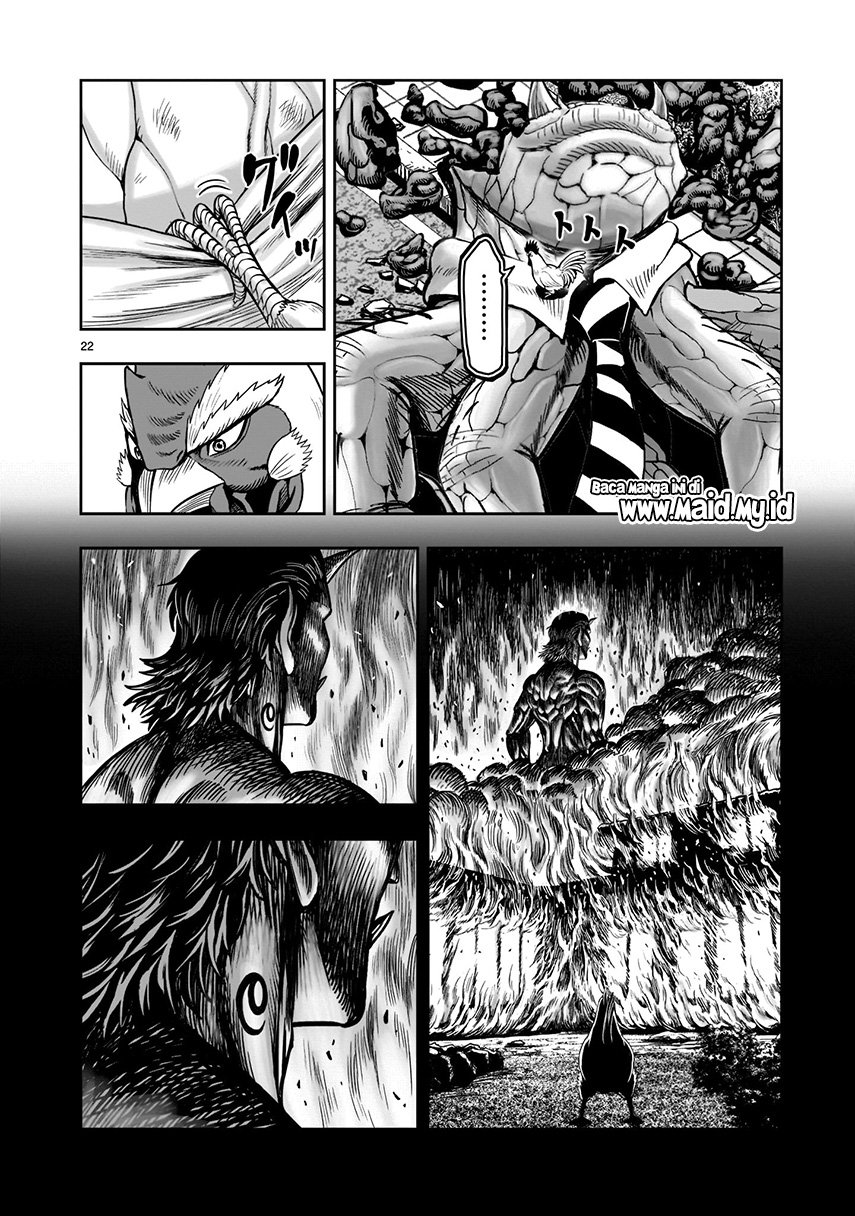 rooster-fighter - Chapter: 2