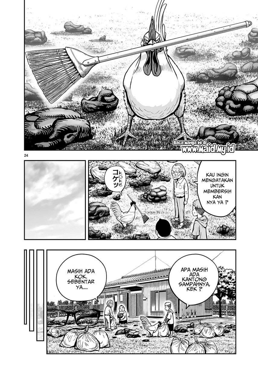 rooster-fighter - Chapter: 2