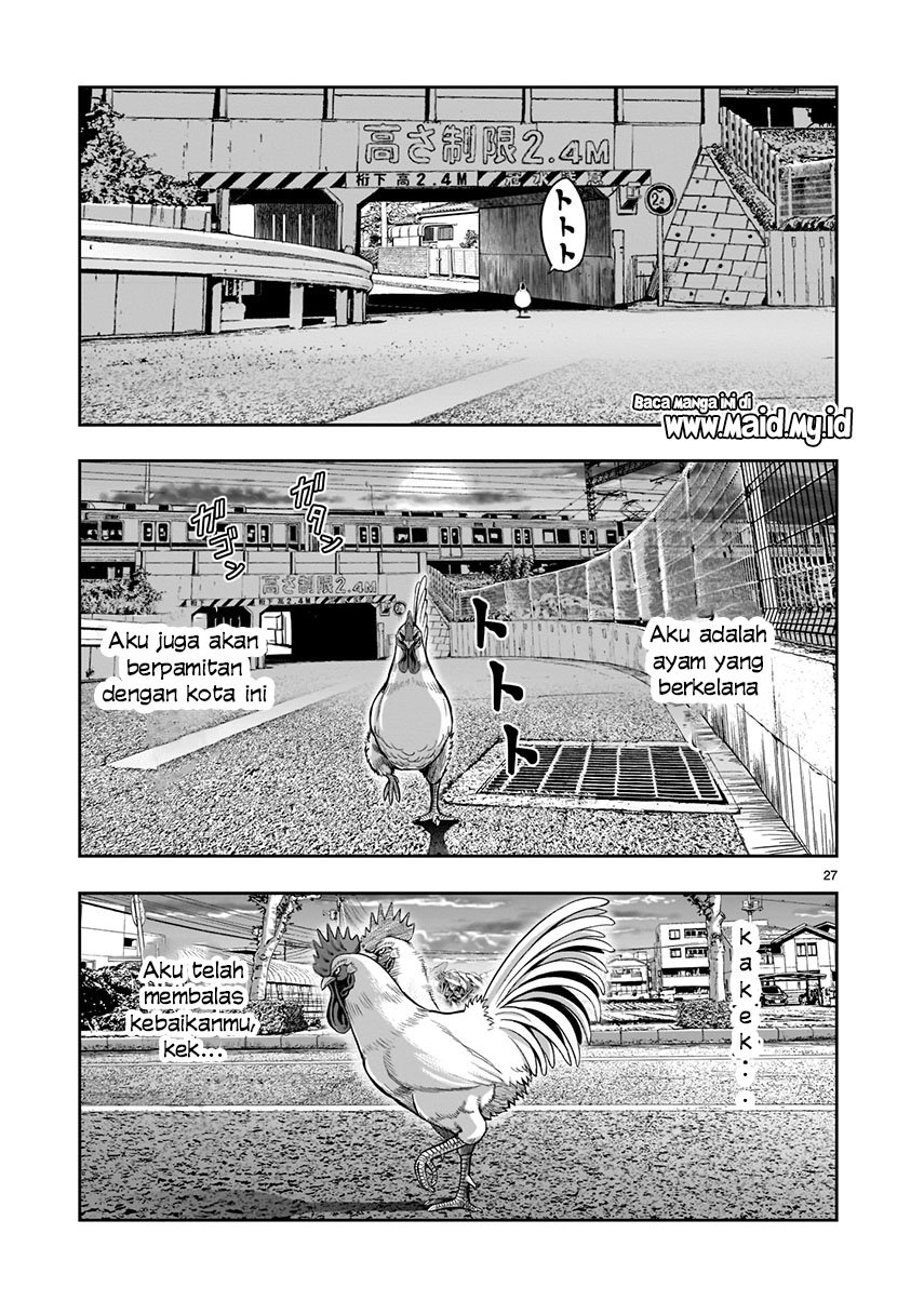 rooster-fighter - Chapter: 2