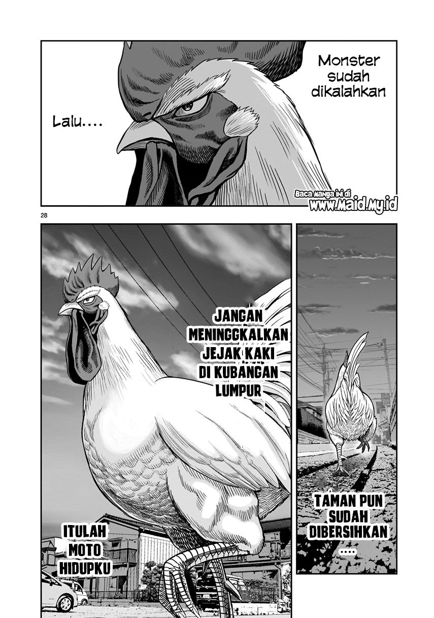 rooster-fighter - Chapter: 2