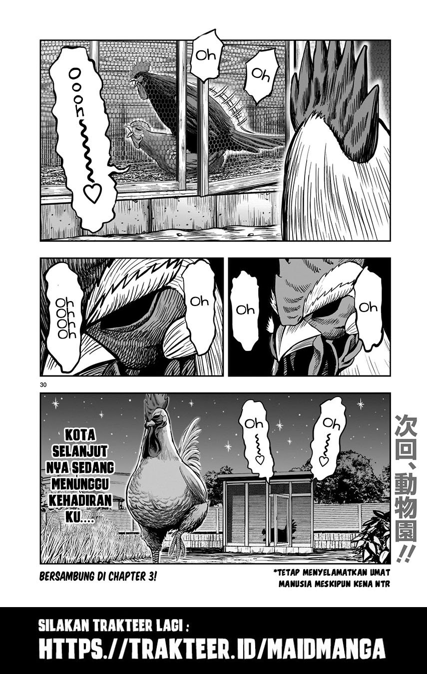 rooster-fighter - Chapter: 2