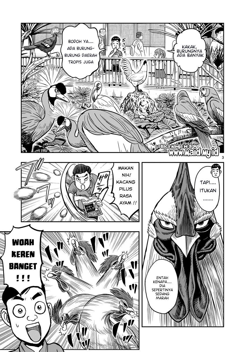 rooster-fighter - Chapter: 3