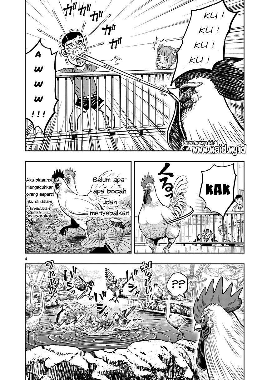 rooster-fighter - Chapter: 3