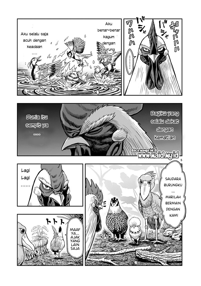 rooster-fighter - Chapter: 3