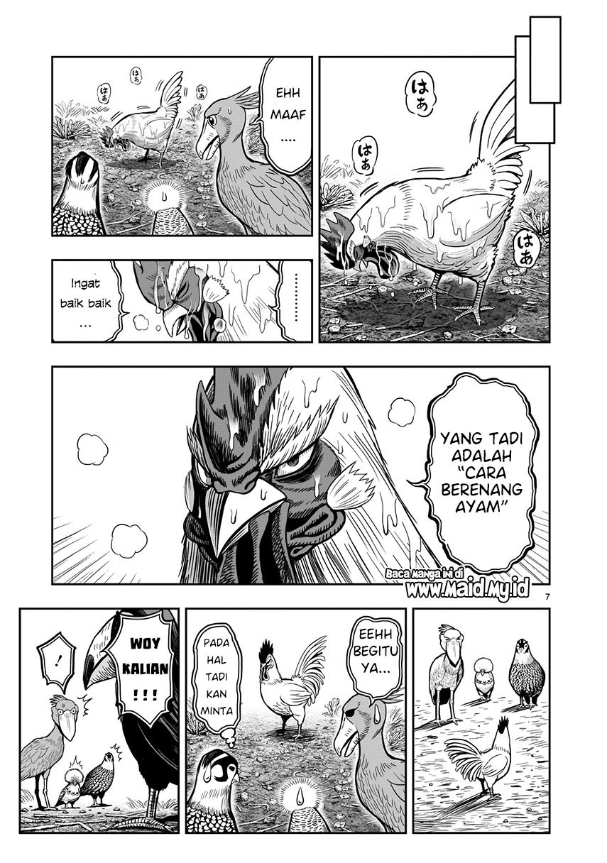 rooster-fighter - Chapter: 3