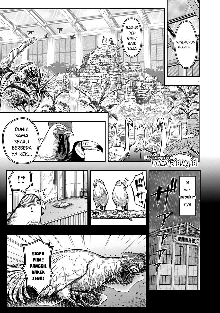 rooster-fighter - Chapter: 3