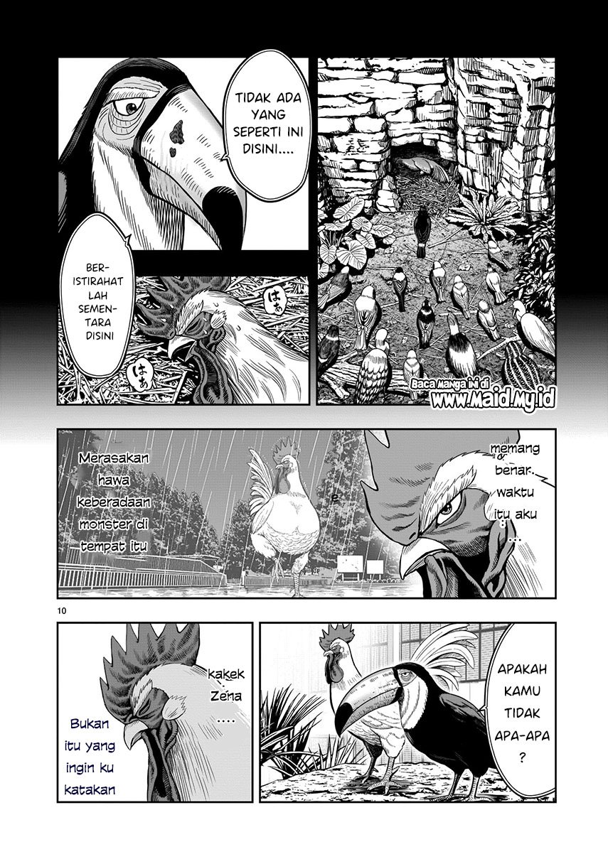 rooster-fighter - Chapter: 3