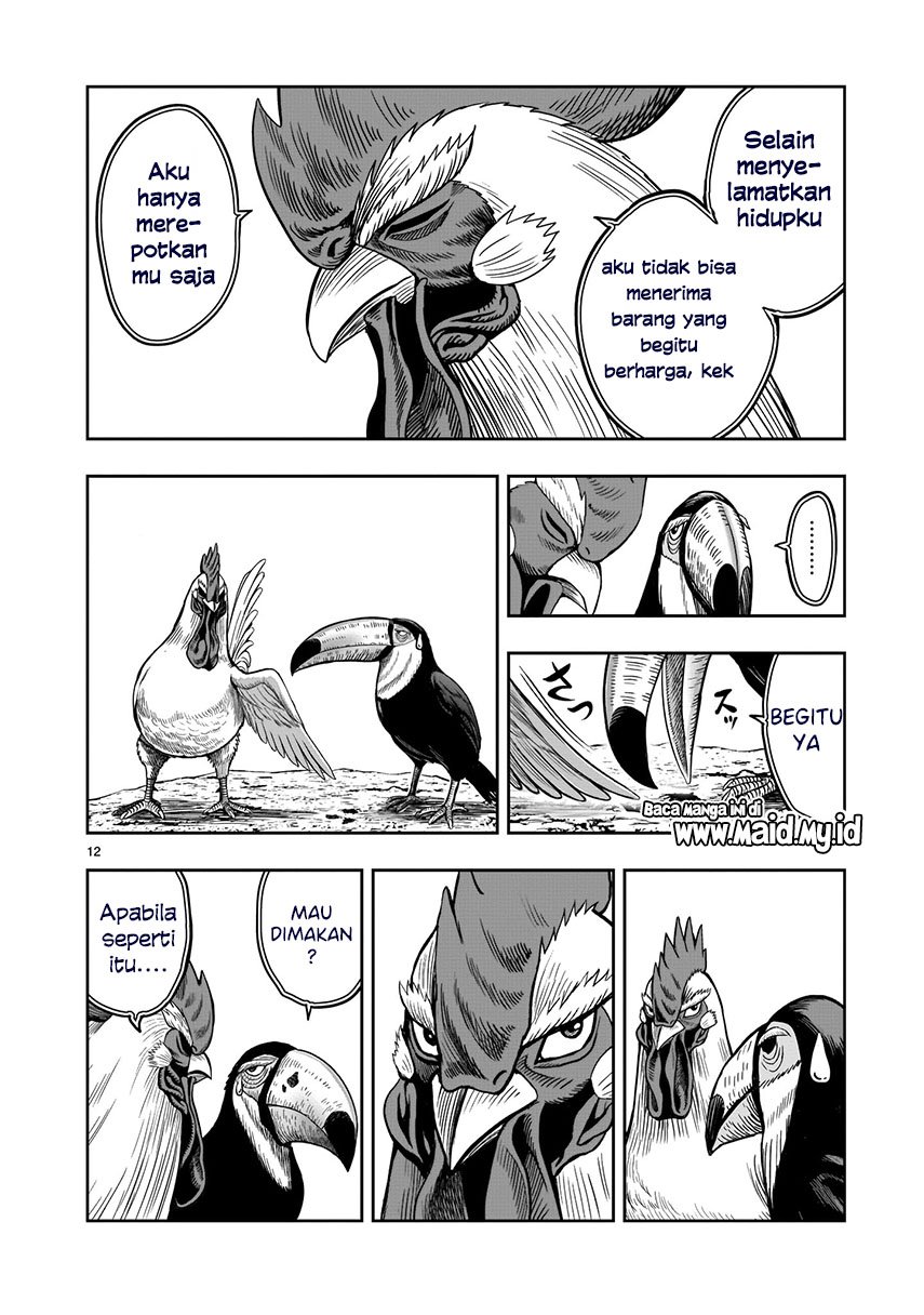 rooster-fighter - Chapter: 3