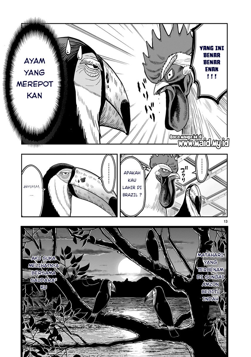rooster-fighter - Chapter: 3