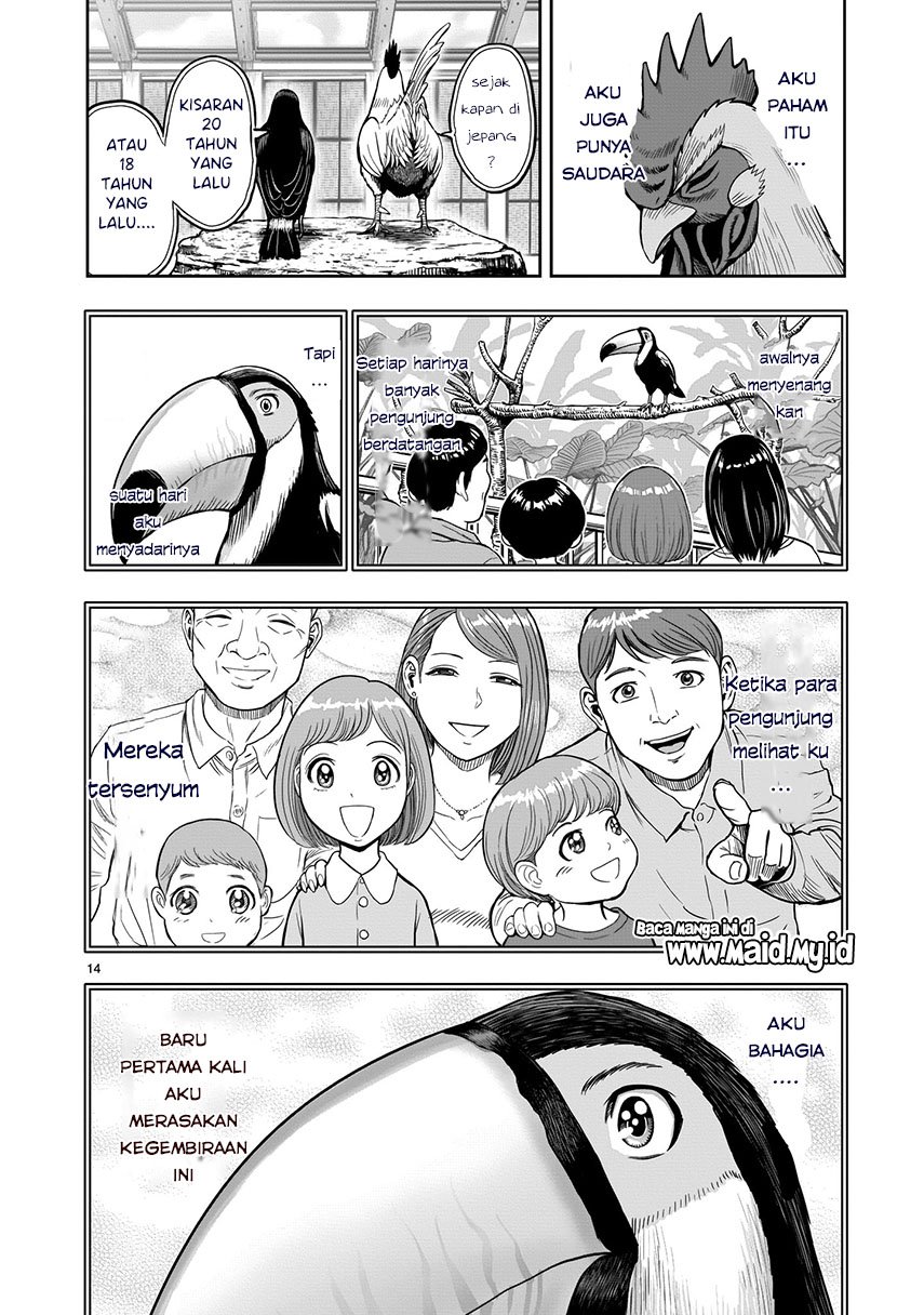rooster-fighter - Chapter: 3