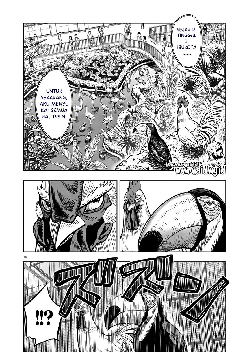 rooster-fighter - Chapter: 3
