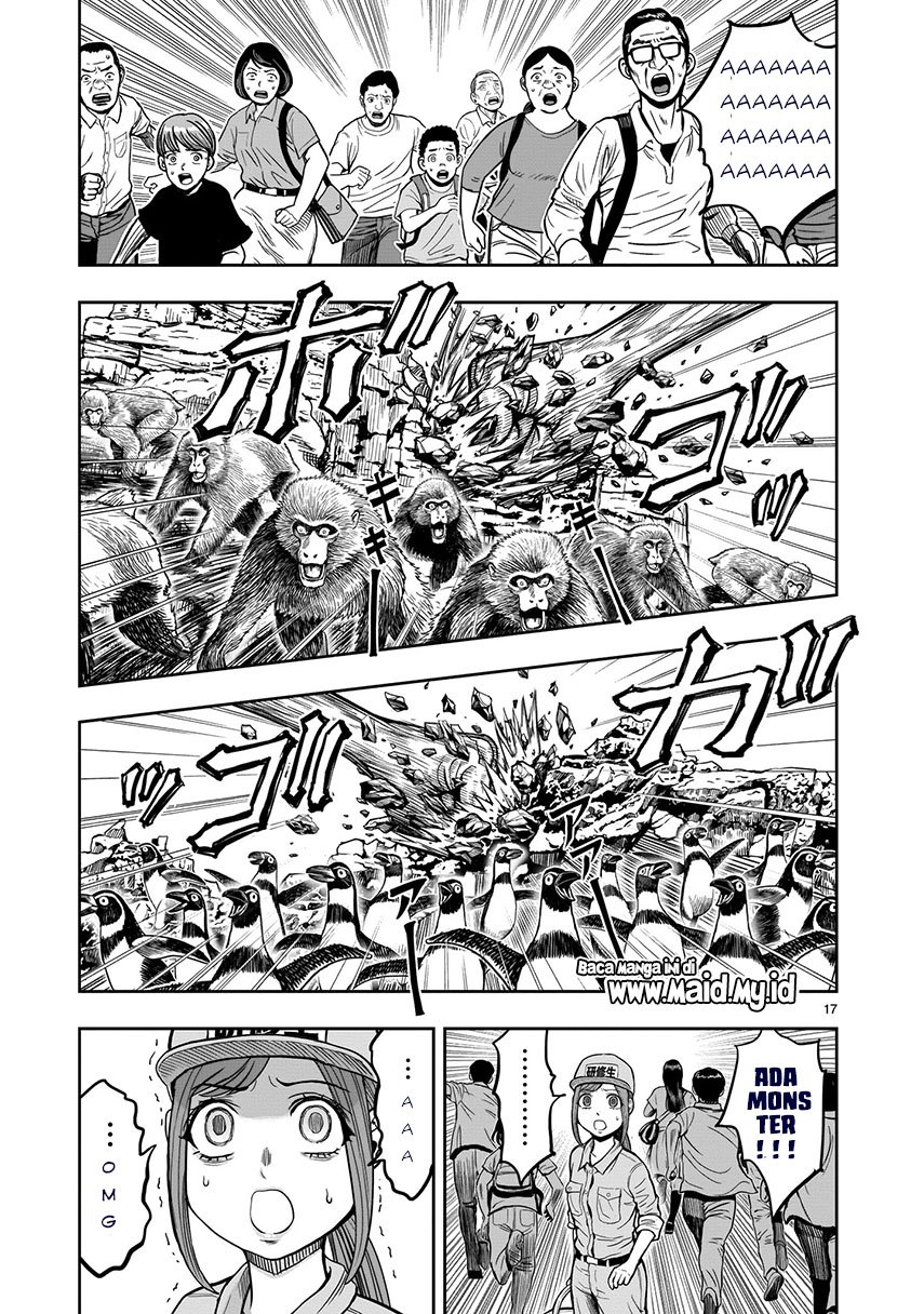 rooster-fighter - Chapter: 3