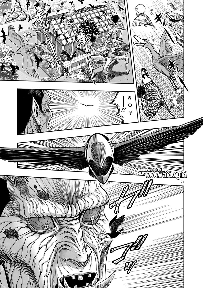 rooster-fighter - Chapter: 3