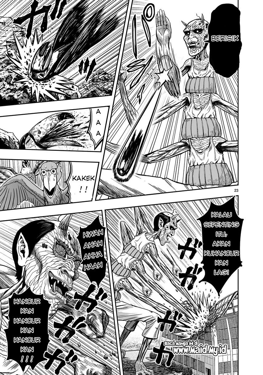 rooster-fighter - Chapter: 3
