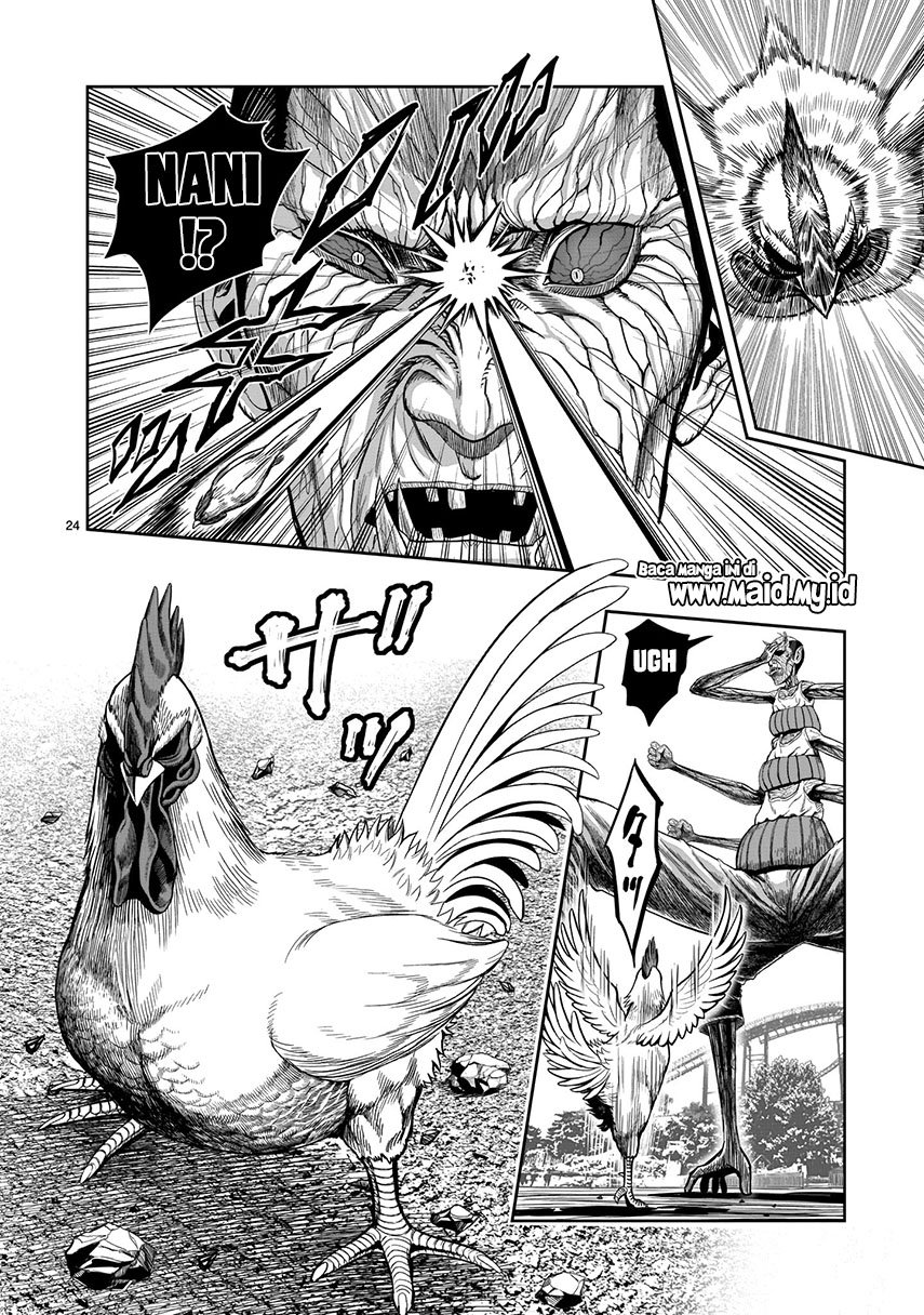 rooster-fighter - Chapter: 3