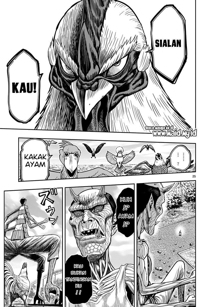 rooster-fighter - Chapter: 3