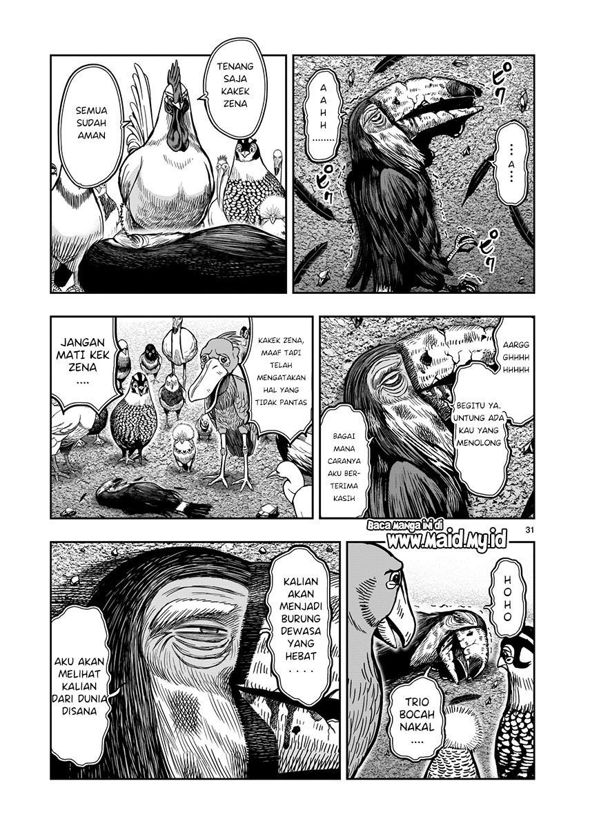 rooster-fighter - Chapter: 3