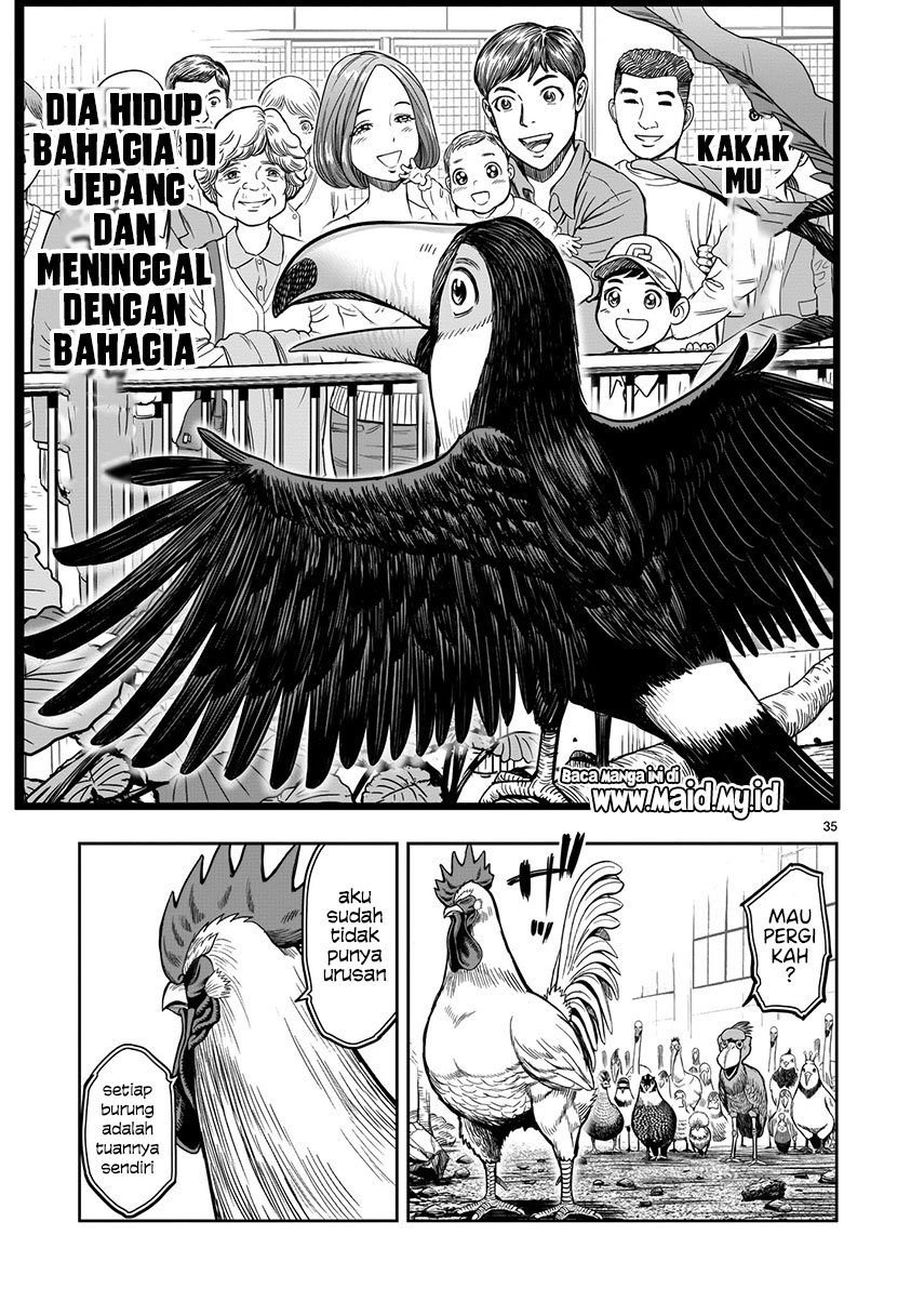 rooster-fighter - Chapter: 3