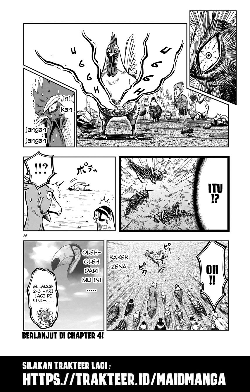 rooster-fighter - Chapter: 3