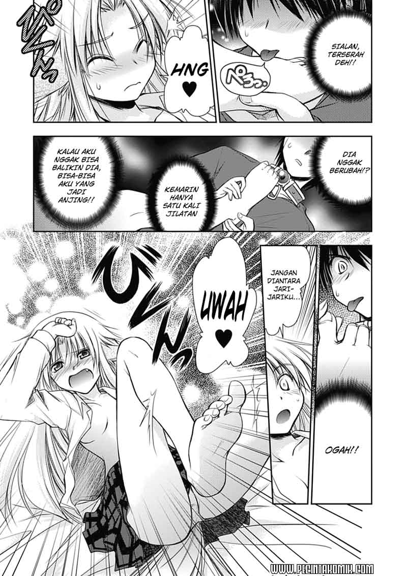 perowan-hayaku-shinasai-goshujinsama - Chapter: 3