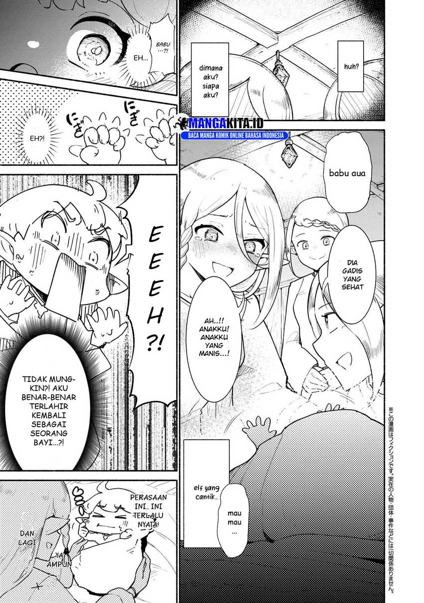 suterare-elf-san-wa-sekai-de-ichiban-tsuyokute-kawaii - Chapter: 1.1