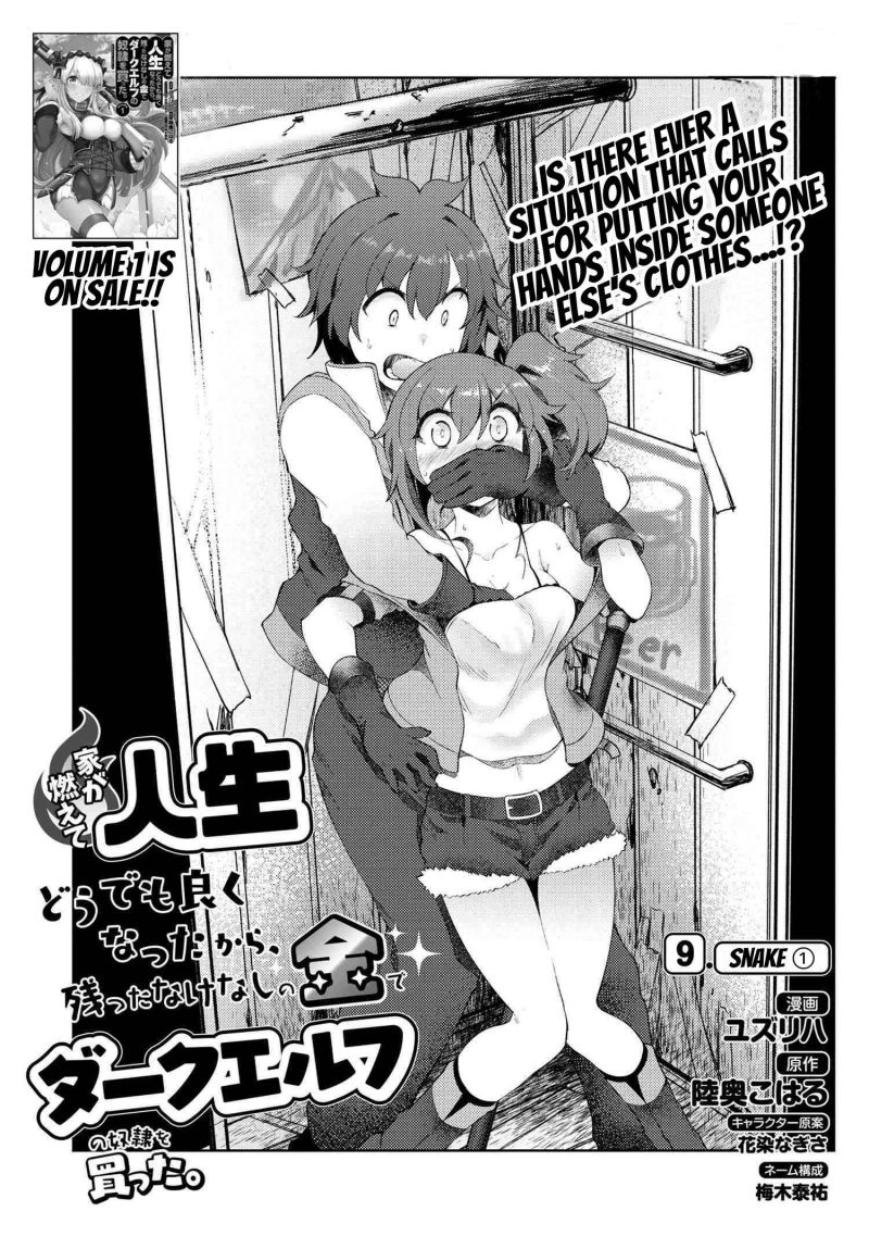 ie-ga-moete-jinsei-dou-demo-yoku-natta-kara-nokotta-nakenashi-no-kin-de-dark-elf-no-dorei-o-katta - Chapter: 9.1