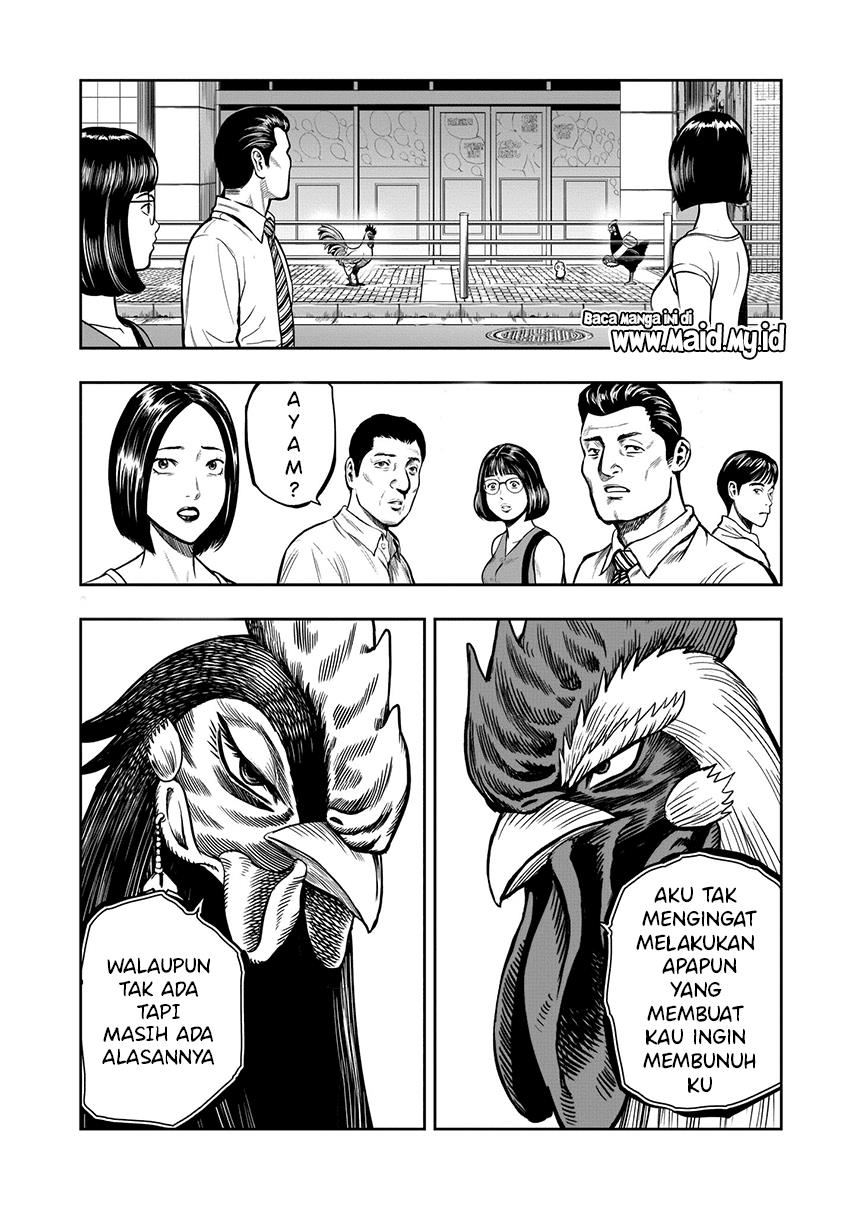 rooster-fighter - Chapter: 7