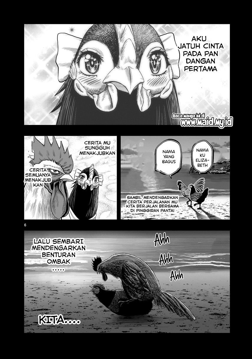 rooster-fighter - Chapter: 7
