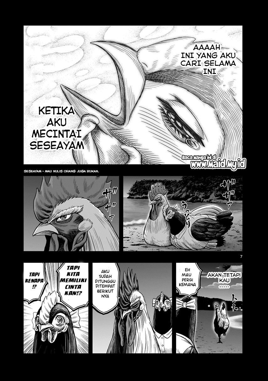 rooster-fighter - Chapter: 7