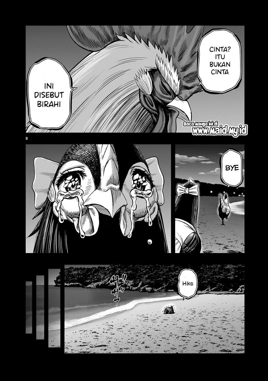 rooster-fighter - Chapter: 7