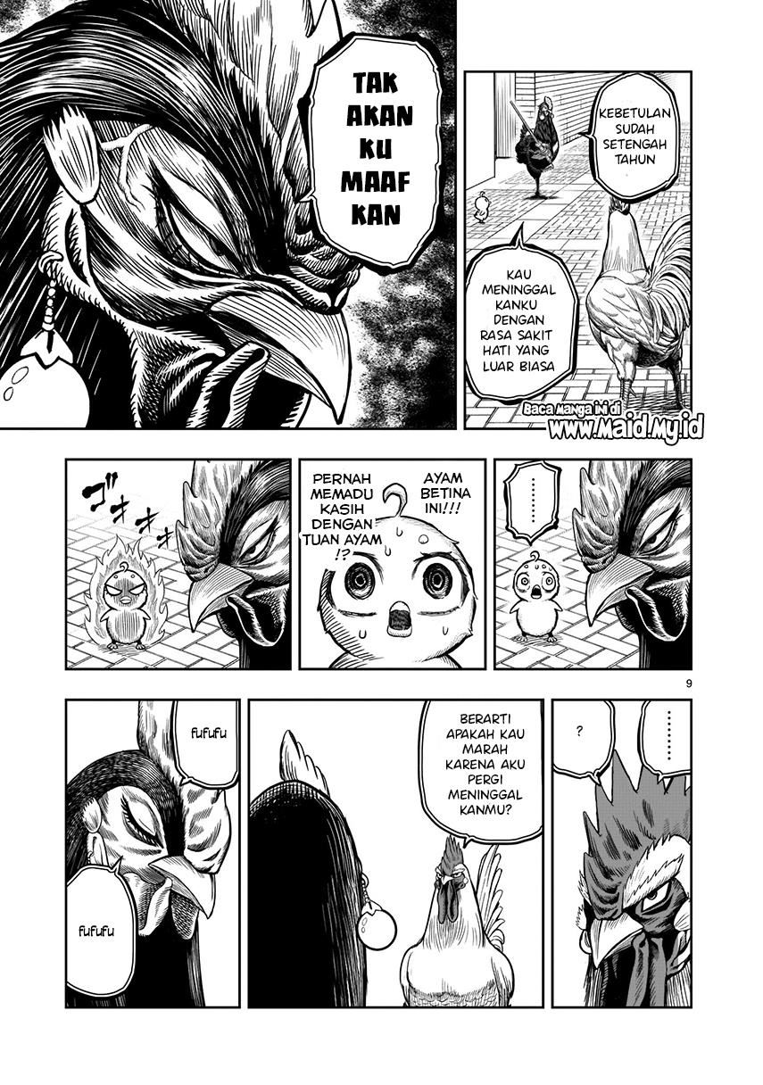 rooster-fighter - Chapter: 7