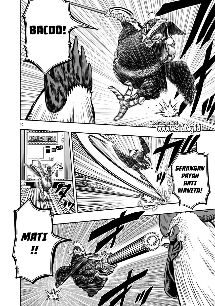 rooster-fighter - Chapter: 7