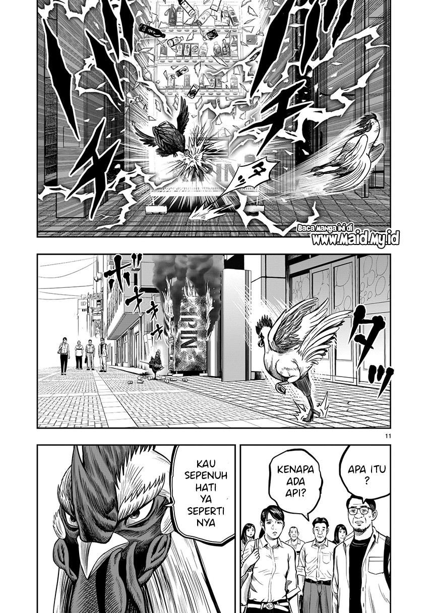 rooster-fighter - Chapter: 7