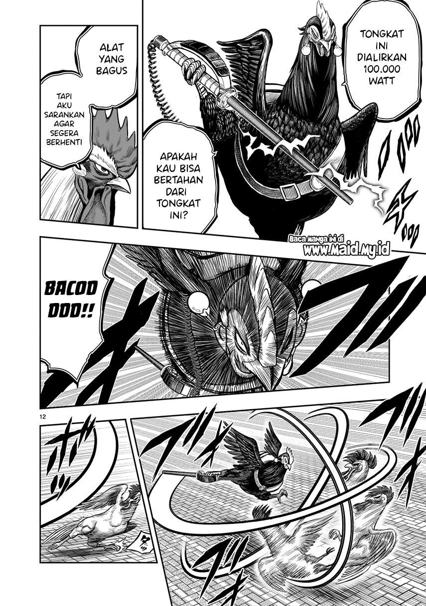 rooster-fighter - Chapter: 7